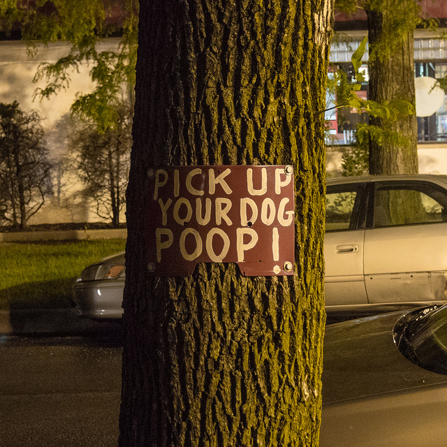 Dog Proof Bags Can Help Owners Clean Up After Their Pets